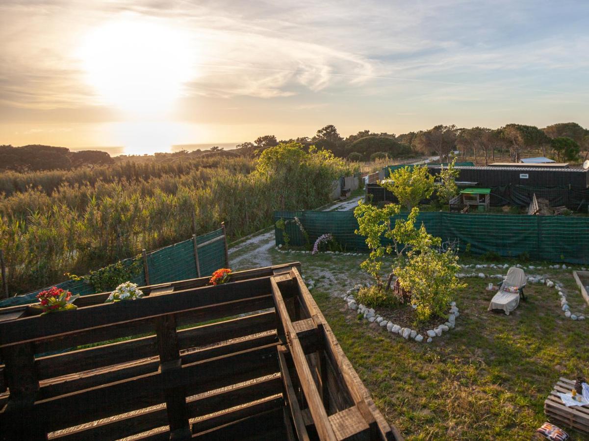 ססימברה Shanti Farm Meco מראה חיצוני תמונה